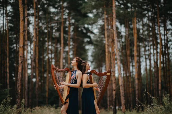 Dvě ženský harpisté stojí v lese a hrají harfy proti zadní — Stock fotografie