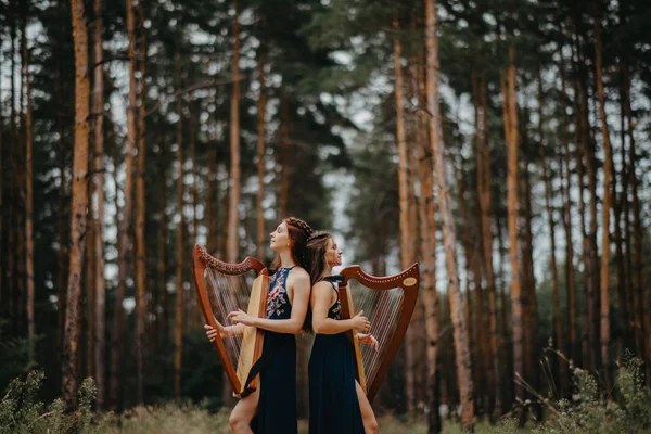 Dos mujeres arpista se paran en el bosque y tocan arpas contra la espalda — Foto de Stock