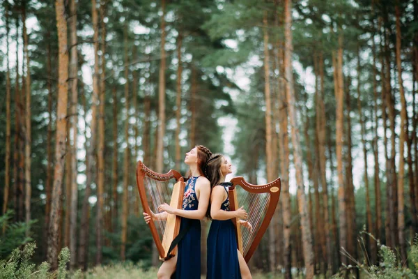 İki kadın arpçı ormanda durup sırtlarına karşı arp çalıyorlar. — Stok fotoğraf