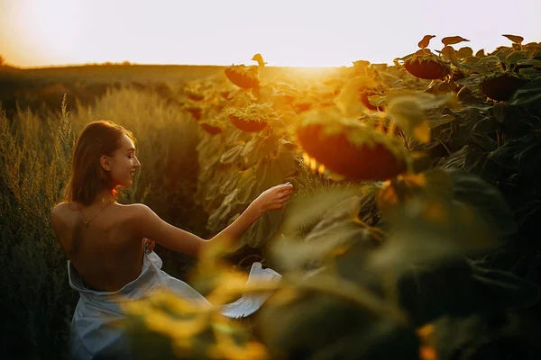Ευτυχισμένη γυναίκα περπατάει ανάμεσα στα ηλιοτρόπια στο ηλιοβασίλεμα. — Φωτογραφία Αρχείου