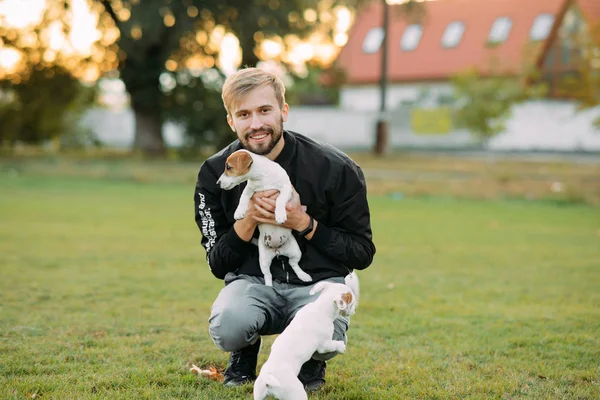 Young man plays with Jack Russell puppies. — Stock Photo, Image