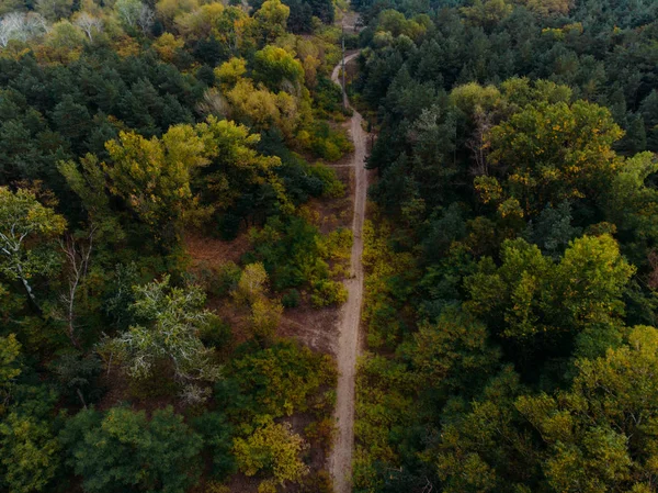 가을 숲에서 드론의 멋진 전망. — 스톡 사진