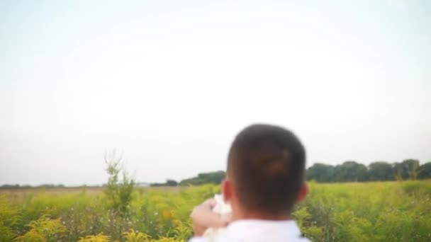 Mutlu Genç Bir Aile Çayırdaki Çiçeklerin Arasında Bebekle Oynuyor — Stok video