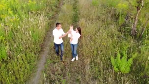 Beautiful View Drone Happy Young Family Walking Meadow Playing Baby — Stock Video