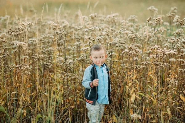 Niño niño camina en un prado . —  Fotos de Stock