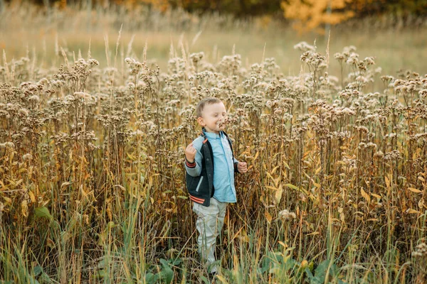 Barnpojken går på en äng. — Stockfoto