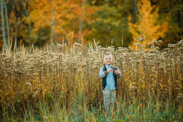 Мальчик ходит по поляне в осеннем лесу . — стоковое фото