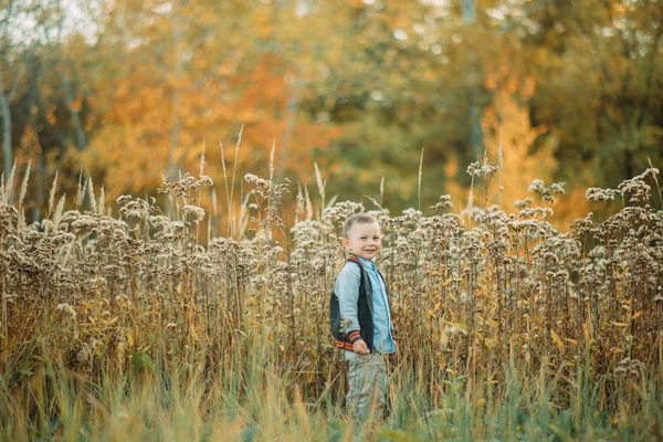 Barnpojken går i glänta i höstskogen. — Stockfoto