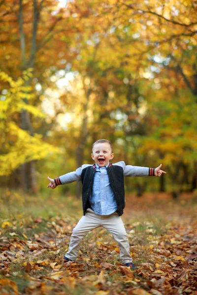 Extrémní a šťastný chlapeček stojí v podzimním lese. — Stock fotografie