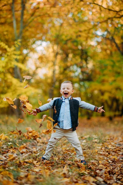 Rapto y feliz niño se para en el bosque de otoño . —  Fotos de Stock