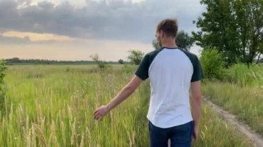 Genç bir adam çayırda bir yol boyunca yürür ve elleriyle otların kulaklarına dokunur..