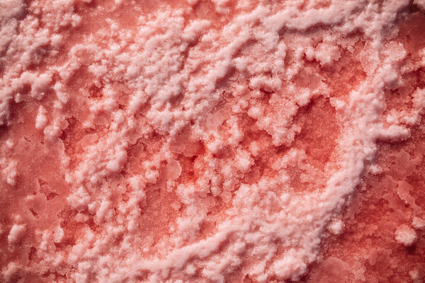 Crystals of salt are on the pink salty Genichesk lake in Ukraine. Closeup.