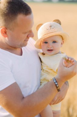 Mutlu baba sarı buğday tarlasında yürür ve bebeğiyle oynar..