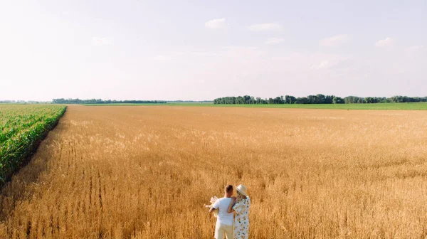 Jovem Família Feliz Caminha Campo Trigo Amarelo Perto Milho Com — Fotografia de Stock