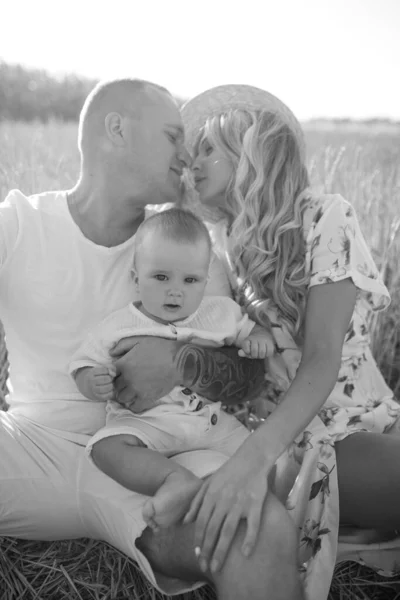 Pais Jovens Felizes Com Bebê Descansam Entre Campo Trigo Beijam — Fotografia de Stock