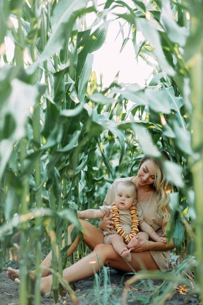 Счастливая Молодая Мать Веселится Играет Своим Ребенком Среди Кукурузного Поля — стоковое фото