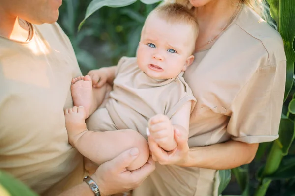 Pais Seguram Seu Bebê Brincam Com Ele Entre Milheiral — Fotografia de Stock