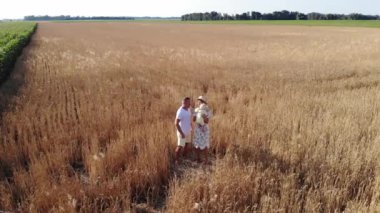 Mutlu genç aile, sarı buğday tarlalarının arasında bebekleriyle eğleniyor ve oynuyor. İHA ateşi.