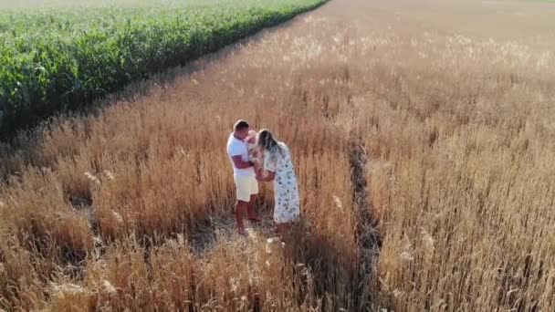 Šťastná Mladá Rodina Baví Hraje Svým Dítětem Žlutém Pšeničném Poli — Stock video