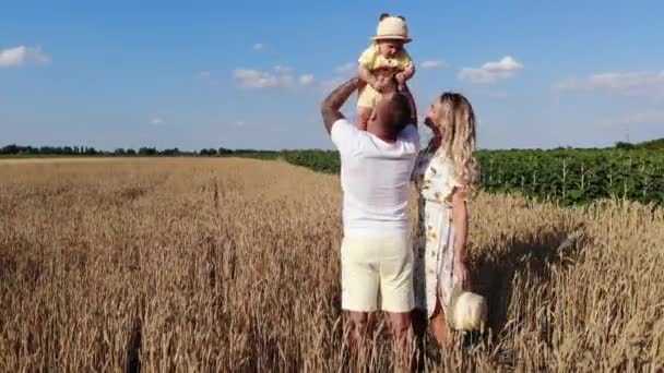 Mutlu Genç Aile Gökyüzü Arka Planındaki Sarı Buğday Tarlalarının Arasında — Stok video