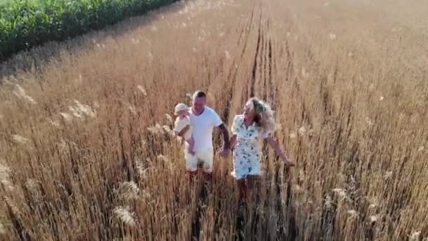 Šťastní Mladí Rodiče Baví Běží Držet Ruce Svým Dítětem Poli — Stock video