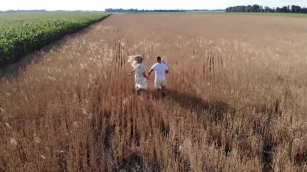 Jeunes Parents Heureux Amusent Courent Tenant Main Avec Leur Bébé — Video