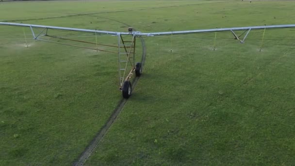 Pareja Amor Abraza Bajo Los Aerosoles Agua Rociador Agrícola Disparos — Vídeo de stock