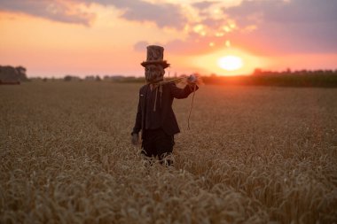 Şapkalı büyücü suretinde bir adam kara büyü ayini yapıyor ve gün batımında buğday tarlasında asılan adamı canlandırıyor..