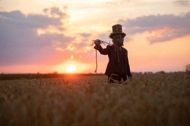 Şapkalı büyücü suretinde bir adam kara büyü ayini yapıyor ve gün batımında buğday tarlasında asılan adamı canlandırıyor..