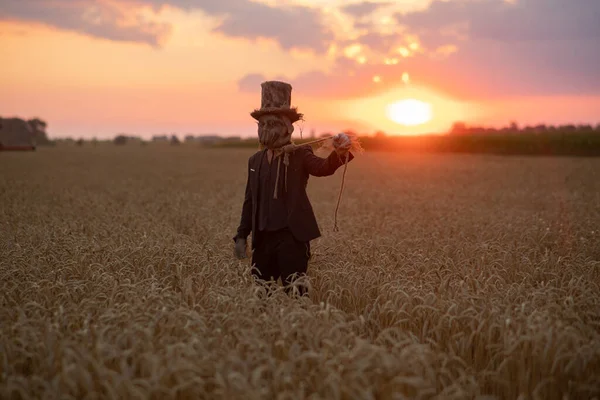 Şapkalı büyücü suretinde bir adam kara büyü ayini yapıyor ve gün batımında buğday tarlasında asılan adamı canlandırıyor..