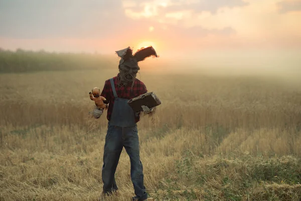 Man Beeld Van Tovenaar Hoed Met Konijnenoren Voert Een Voodoo — Stockfoto