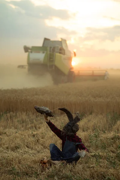 Şapkalı, tavşan kulaklı büyücü imajı olan bir adam buğday tarlalarının arasında oyuncak bebeğin yanında oturur ve eski oyuncak arabayı elinde tutarak gün batımına ve hasatçıya karşı sihirli bir ayin yapar..