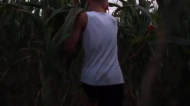 Çocuk oynar, koşar, güler ve akşamları mısır tarlasına bakar..