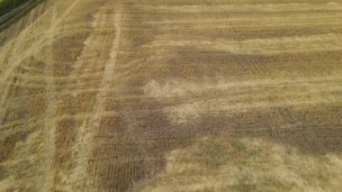 Hasat edilen ve biçilen buğday tarlalarının ve ayçiçeği tarlasının drone görüntüsü. Kameranın ileri hareketi.
