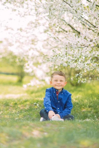 Šťastný Chlapec Sedí Zelené Trávě Sluncem Zalité Mýtině Pozadí Kvetoucí — Stock fotografie