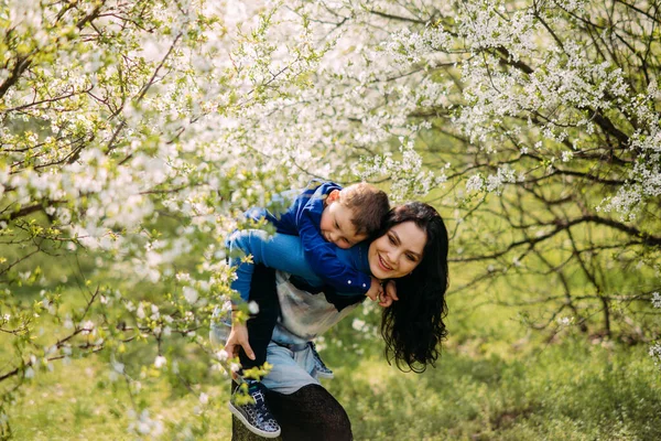 Mutlu Anne Oğul Oynuyorlar Güneşli Açıklıkta Baharın Çiçek Açan Bahçesinin — Stok fotoğraf