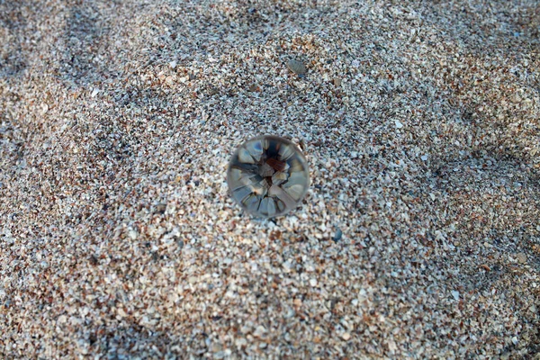 Vista Através Uma Bola Cristal Para Areia Concha Praia Mar — Fotografia de Stock