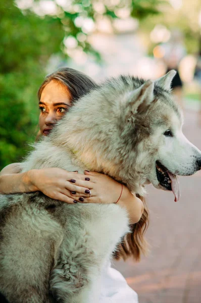 Young Woman Innate Disorder Dwarfism Embraces Malamute Dog While Walking — Stock Photo, Image