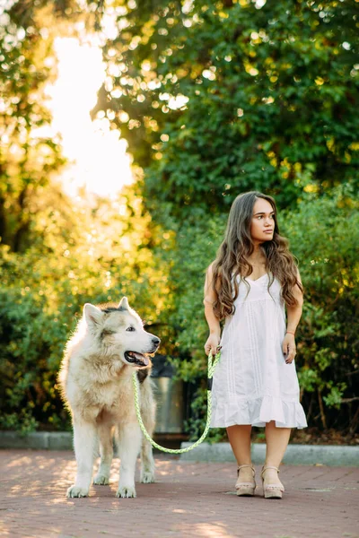 Fiatal Veleszületett Rendellenesség Törpe Vezet Egy Póráz Malamute Kutya Séta — Stock Fotó