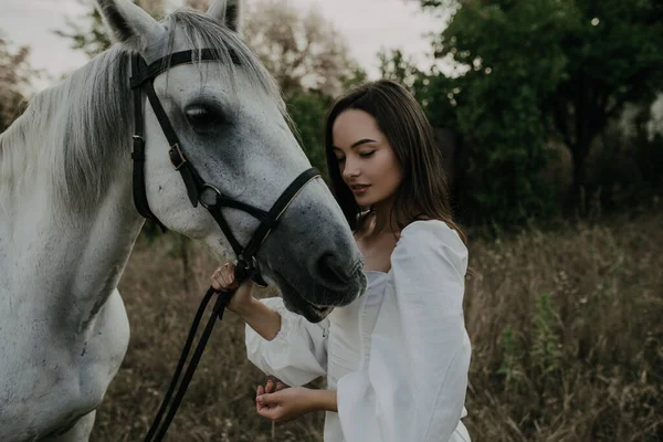 Mujer Joven Para Pasto Cerca Del Caballo Blanco Sostiene Por — Foto de Stock