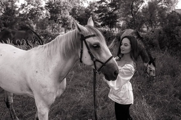 年轻快乐的女人站在白马旁边的牧场上 用手触摸着它 黑白图像 — 图库照片