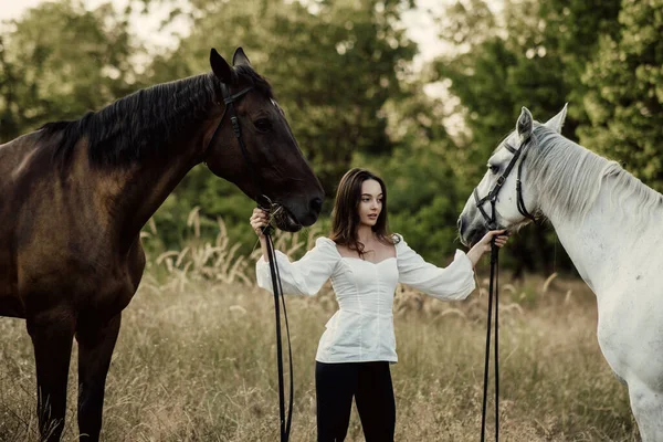 Jovem Mulher Fica Pastagem Perto Dois Cavalos Segura Los Por — Fotografia de Stock