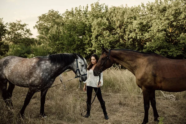 Jovem Mulher Fica Pastagem Perto Dois Cavalos Segura Los Por — Fotografia de Stock