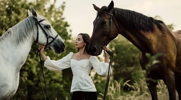 Jovem Mulher Fica Pastagem Perto Dois Cavalos Segura Los Por — Fotografia de Stock