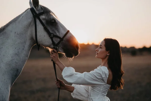 夕日の牧草地で白い馬の近くの若い女性の肖像画 — ストック写真