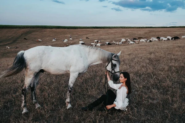 Mujer Joven Sienta Cerca Caballo Gris Pasto Sobre Fondo Cabras — Foto de Stock