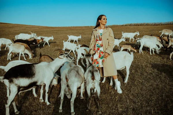 Handsome Female Shepherdess Stands Pasture Herd Goats — Stock Photo, Image