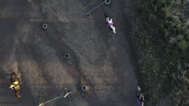 Cinq Cavalières Montent Cheval Trot Dans Paddock Club Équestre Vue — Video