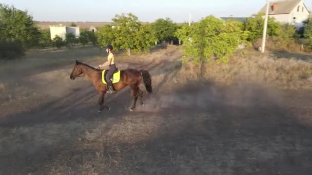 Horsewoman Rides Horseback Paddock Equestrian Club Sunset — Stock Video