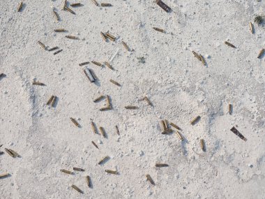 Atış taliminden sonra etrafa saçılmış boş tüfeklere ya da tozlu zemindeki makineli tüfek kovanlarına yakından bakın. Ukrayna 'da Savaş.